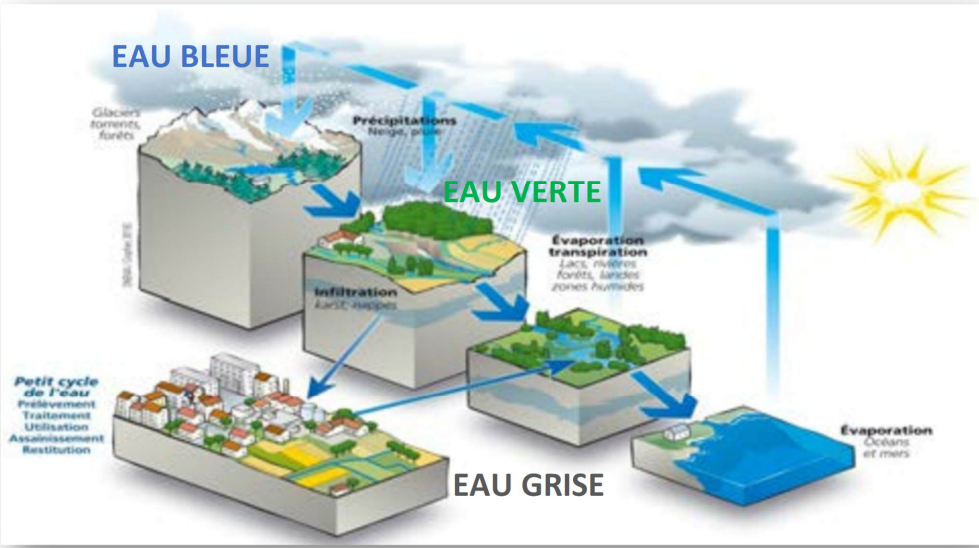 PLUIE EFFICACE = EAU BLEUE – EAU VERTE